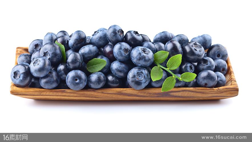 甜蜜的蓝莓水果高清图片(图片id:96983)-食品果蔬图片-素材中国16素材